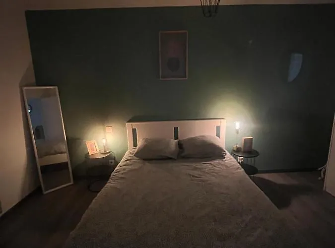 Cosy Hyper Centre Апартаменты Кольмар